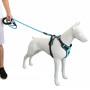 Szelki dla psa do nauki chodzenia Huggy Dogy Walky Guard niebieskie HUGGY DOGGY szelki dla psa