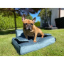 Łóżko ortopedyczne dla psa - Wersal turkusowe Legowisko dla psa