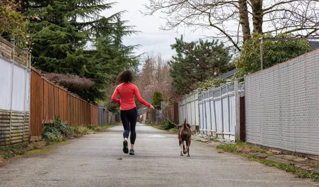 Bieganie i jogging z psem