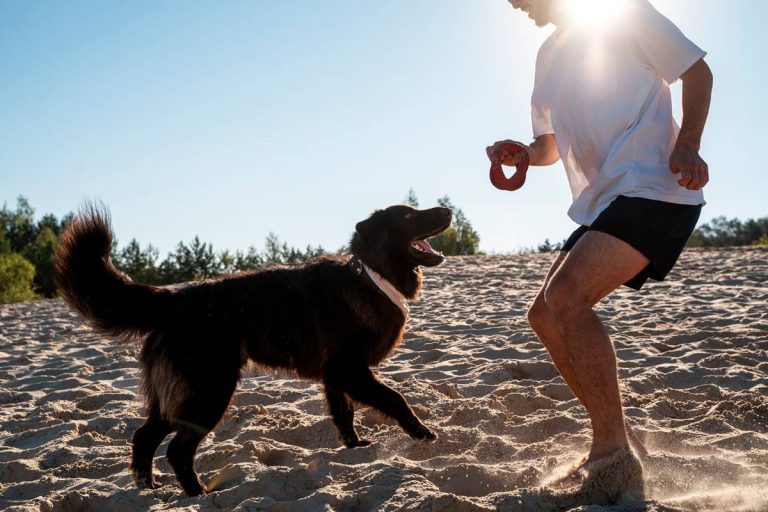 Poznaj najlepsze rasy psów do różnych rodzajów aktywności na świeżym powietrzu