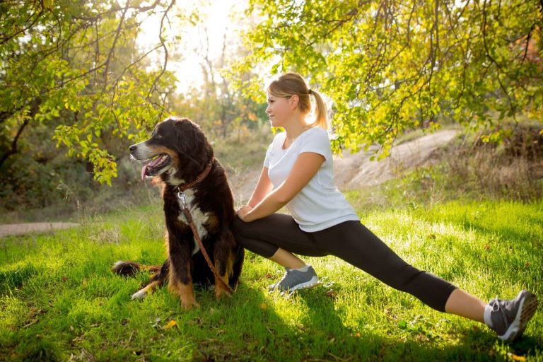 Rasy psów idealne do uprawiania sportów i aktywności na świeżym powietrzu: Beagle, Border Collie, Labrador, Owczarek Niemiecki i Golden Retriever