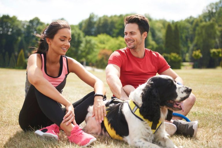 Sporty i aktywności dla psów: Aktywne życie z czworonogiem