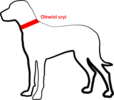 obroża dla psa antyzaciskowa wspaniała alternatywa do szelek